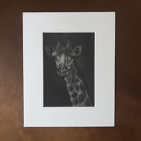 Image 1 of “Stretch” mini matted fine art print 