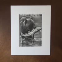 Image 1 of “Catch of the day” matted mini fine art print 