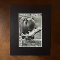 Image 2 of “Catch of the day” matted mini fine art print 