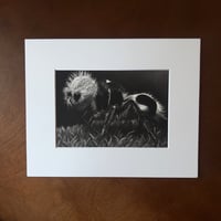 Image 1 of “Panda ant” mini matted fine art print 