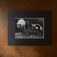 Image 2 of “Panda ant” mini matted fine art print 