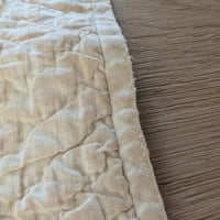 Image 8 of Whig's Defeat Quilt