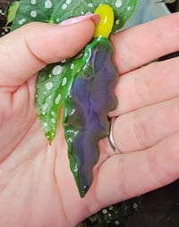 Image 2 of Angel Wing Bagonia Pendant 