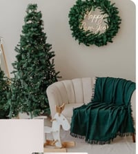 Image 4 of Christmas Minis 2025 (retainer only)