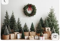 Image 5 of Christmas Minis 2025 (retainer only)