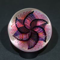Image 1 of Phoenix Reticello Flower