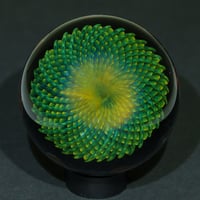 Image 1 of Limefire Burst