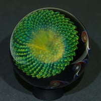 Image 2 of Limefire Burst