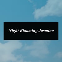 Night Blooming Jasmine Bumper Sticker