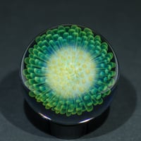 Image 1 of Verdant Ember