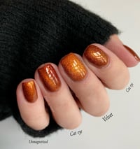 Image 8 of Maple Pecan - Limited Edition