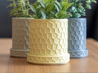 Image 1 of Honeycomb Planters (3-pack or 4-pack) color, by bamingodesign