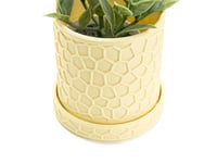 Image 3 of Honeycomb Planters (3-pack or 4-pack) color, by bamingodesign