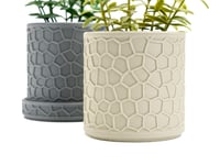 Image 4 of Honeycomb Planters (3-pack or 4-pack) color, by bamingodesign