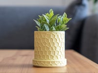 Image 6 of Honeycomb Planters (3-pack or 4-pack) color, by bamingodesign
