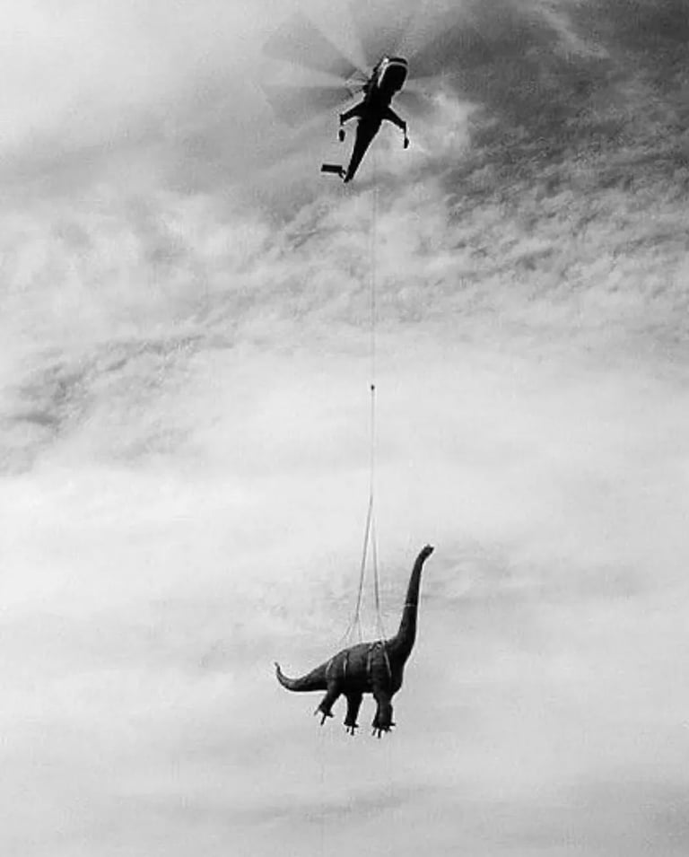 Dinausore hélicoptère  Image 4