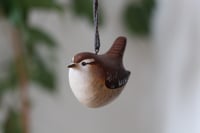 Image 1 of Jenny Wren