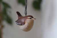 Image 3 of Jenny Wren
