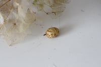 Image 1 of Ochre egg pendant