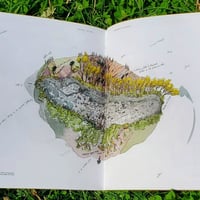 Image 4 of OPENFIELD LA REVUE
