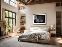 Image 4 of Buddha and the Street Dog