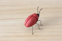 Image 3 of Sassy red bug