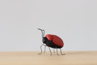 Image 4 of Sassy red bug