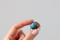 Image 3 of Colourful bugs