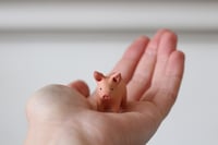 Image 5 of Little Piggy