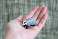 Image 4 of Little Badger