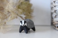 Image 3 of Little Badger