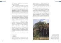 Image 10 of HISTOIRE DE LA BOTANIQUE - Joëlle MAGNIN-GONZE