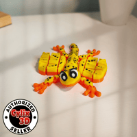 Image 1 of Aero - Flexi Draco Lizard