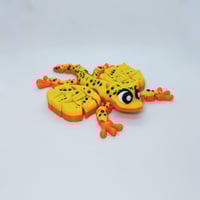 Image 3 of Aero - Flexi Draco Lizard