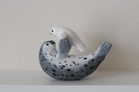 Image 5 of Mother Seal & Pup