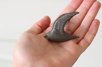 Image 4 of Swift