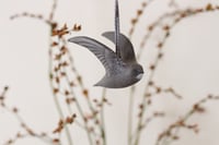 Image 2 of Swift
