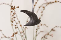 Image 3 of Swift