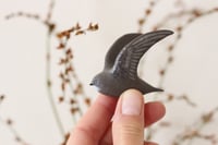 Image 1 of Swift