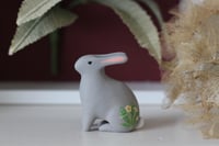 Image 1 of Primrose bunny