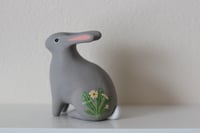 Image 2 of Primrose bunny