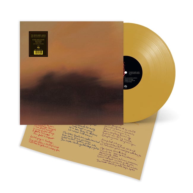 The Besnard Lakes Are the Ghost Nation gold vinyl LP