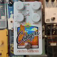 Canyon | Delay & Looper by Electro-Harmonix