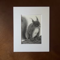 Image 1 of “Curious visitor” mini matted fine art print 