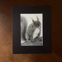 Image 2 of “Curious visitor” mini matted fine art print 