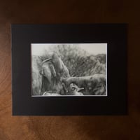 Image 2 of “Armored love” mini matted fine art print 