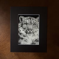 Image 2 of “Snow royal” mini matted fine art print 
