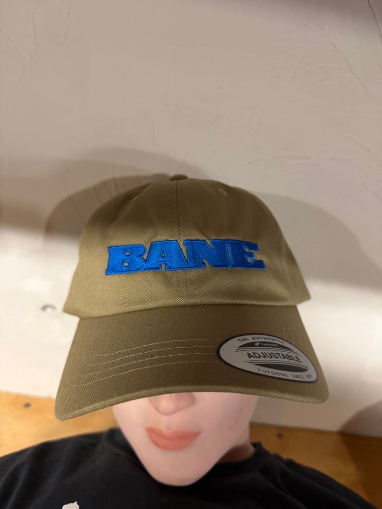 BANE Tan logo hat
