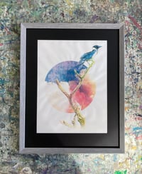 Image 1 of King Crow