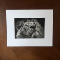 Image 1 of “Moonlit guardian” mini matted fine art print 